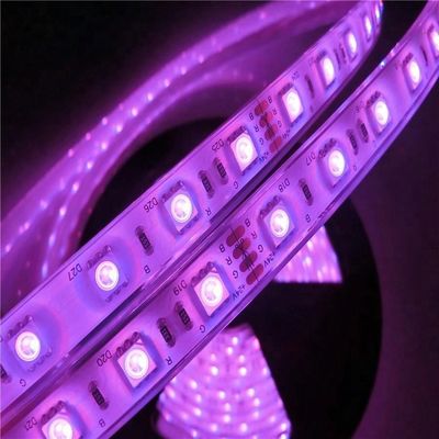 17W/M 5050 Led Wattage 12v 24V IP68 Waterproof Swimming Pool Led Strip Lights