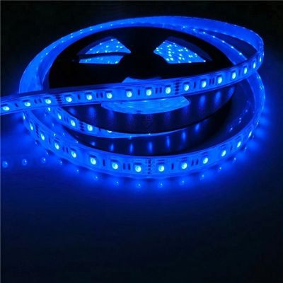 17W/M 5050 Led Wattage 12v 24V IP68 Waterproof Swimming Pool Led Strip Lights
