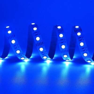 24V SMD 5050 Rgbw Led Strip 4 In 1 Warm White Light 5m Waterproof Strip Lights For Outdoor