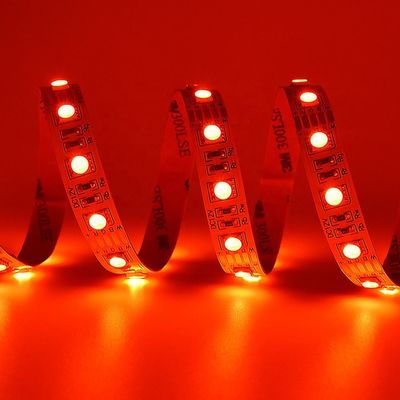 24V SMD 5050 Rgbw Led Strip 4 In 1 Warm White Light 5m Waterproof Strip Lights For Outdoor