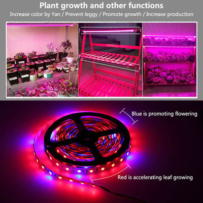 DC12V DIY Red Blue 3:1 4:1 5:1 Led Mood Light 12V Grow Light Strips For Plants