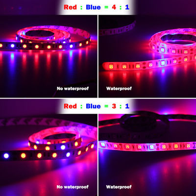 DC12V DIY Red Blue 3:1 4:1 5:1 Led Mood Light 12V Grow Light Strips For Plants