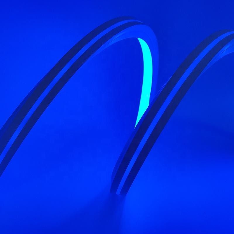 Addressable  Silicone 12v Flex 5m Neon Light Strip Dream Color RGB 16 X 16MM DIY Words