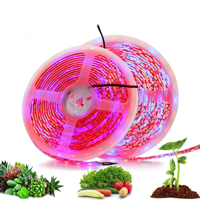 DC12V DIY Red Blue 3:1 4:1 5:1 Led Mood Light 12V Grow Light Strips For Plants